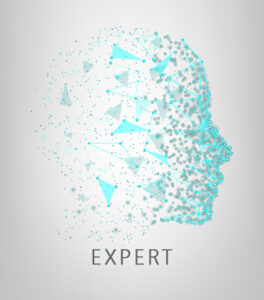 Expert